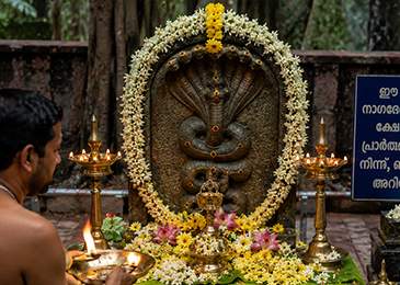 Ayilyam Pooja for Nagaraja